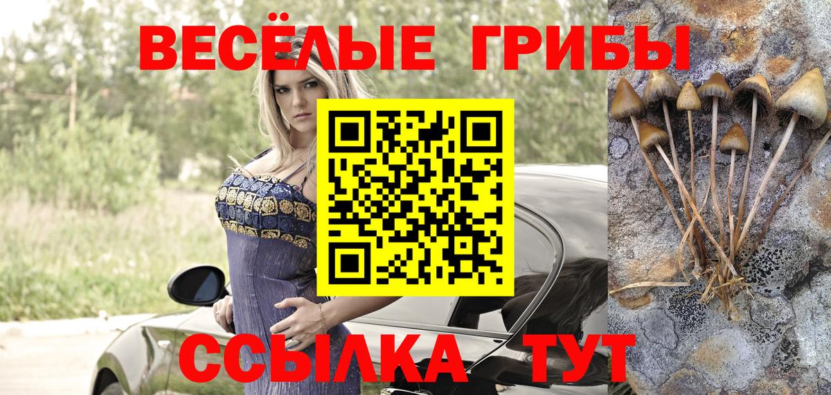 Псилоцибиновые грибы Cubensis  Галлюциногенные грибы мухоморы  Вход с VPN  Кисловодск 